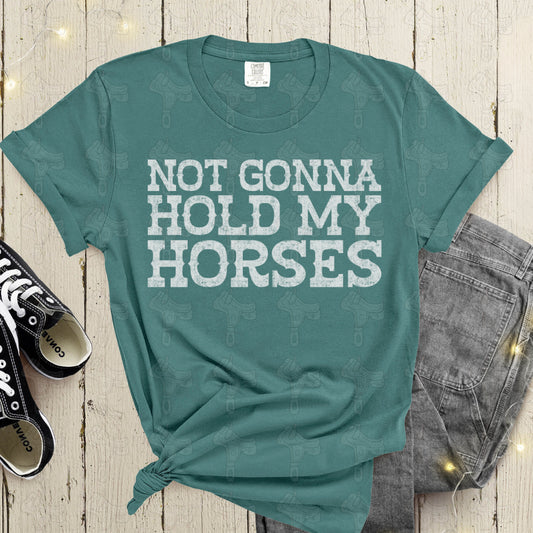 Not Gonna Hold My Horse